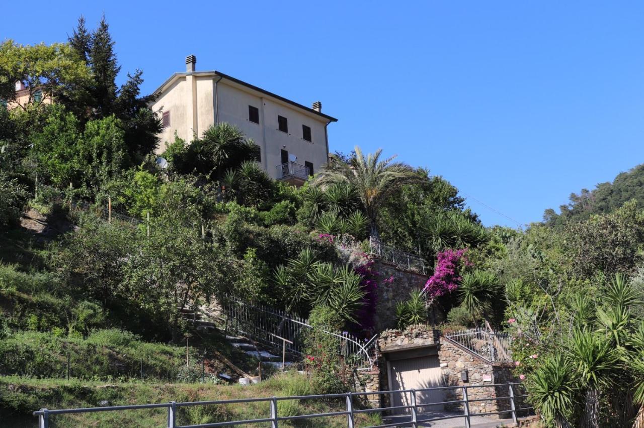 Antico Lavatoio Otel Luni Dış mekan fotoğraf