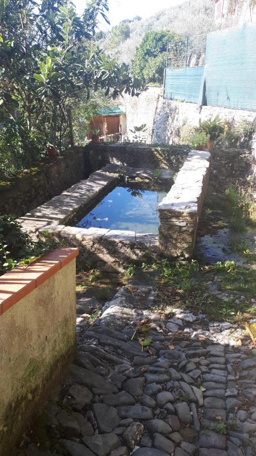 Antico Lavatoio Otel Luni Dış mekan fotoğraf