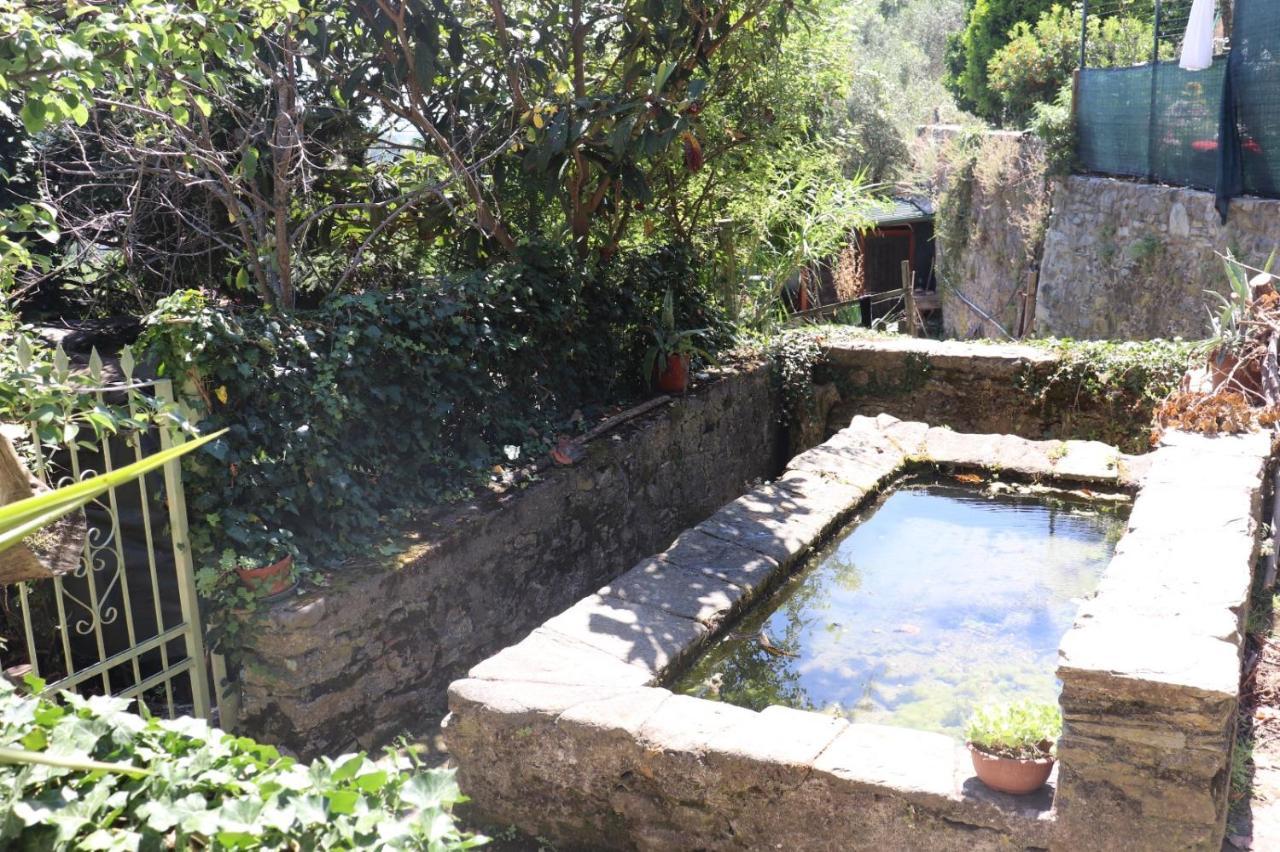 Antico Lavatoio Otel Luni Dış mekan fotoğraf