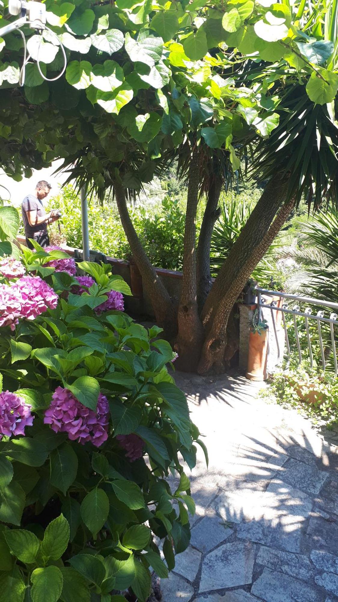 Antico Lavatoio Otel Luni Dış mekan fotoğraf